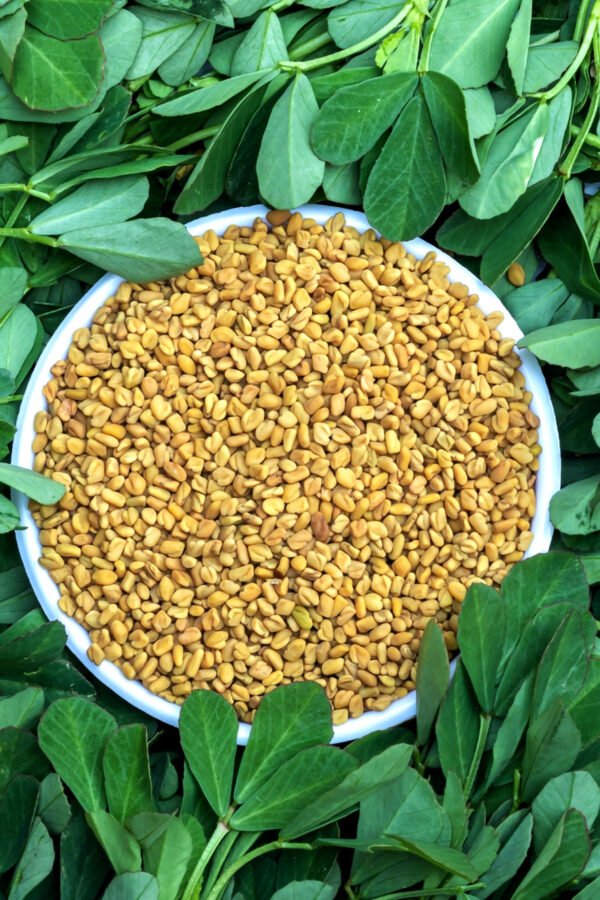 Methi